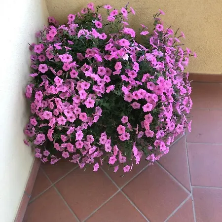 La Rosa Dei Venti Ξενοδοχείο με διαμερίσματα *