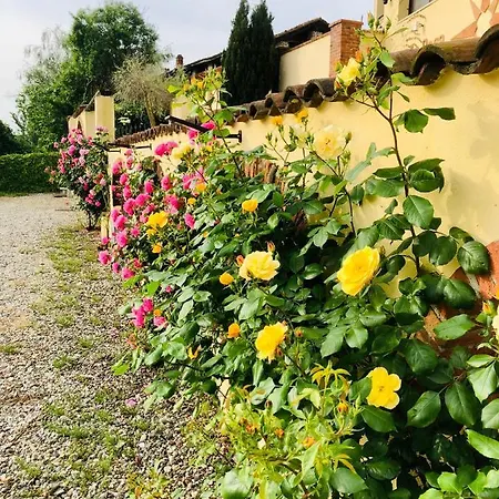 La Rosa Dei Venti *